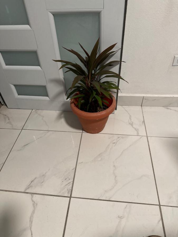 산후안 Second Floor 2Br Apt In The Center Of Santurce 아파트 외부 사진